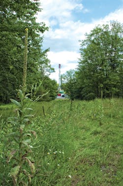 1703ogfjyou P01 1703ogfjyou P01