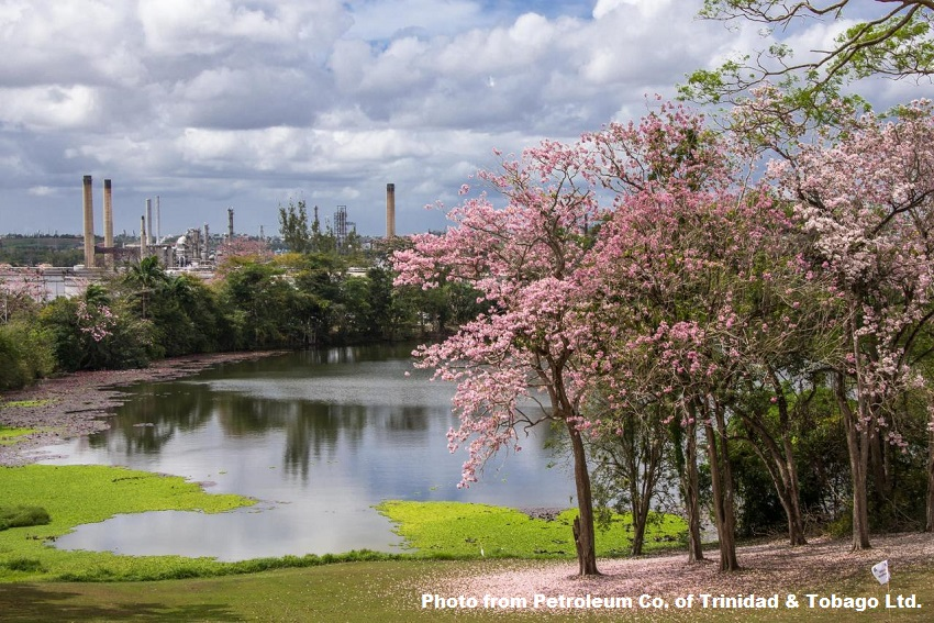 Content Dam Ogj Online Articles 2018 08 180828 Petrotrin Pointapierre Final