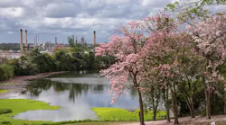 Content Dam Ogj Online Articles 2018 08 180828 Petrotrin Pointapierre Final