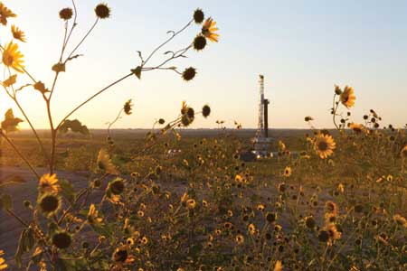 Cp Bhp Billiton Eagle Ford