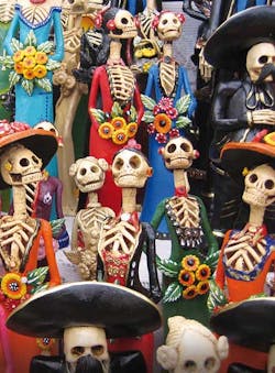 Frm Cover Mexican Catrina Frm Cover Mexican Catrina