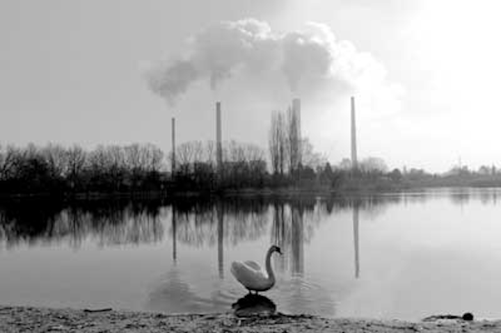 Fro Swan