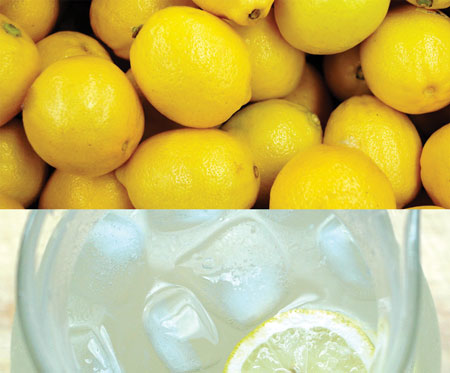 Fsta Homemade Lemonade