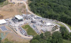 Fwp Caiman Aerial 4 Ft Beel Fwp Caiman Aerial 4 Ft Beel