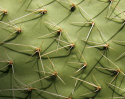 P1409ogfjfr01 P1409ogfjfr01