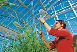 Th 03 Buying Into Th 03 Buying Into