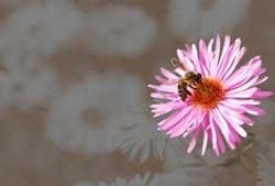 Th 0804ogjfenergy01 Th 0804ogjfenergy01