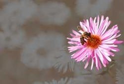 Th 0804ogjfenergy01 Th 0804ogjfenergy01