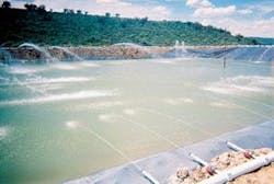 Th 5 Newf1 Th 5 Newf1