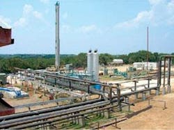 Th Cp Plant Th Cp Plant