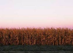 Th Fra Ss13042 Th Fra Ss13042