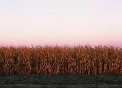 Th Fra Ss13042 Th Fra Ss13042