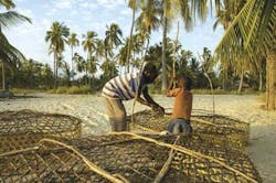 Th Image 14 Th Image 14