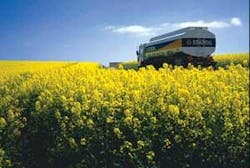 Th Norways 04 Th Norways 04