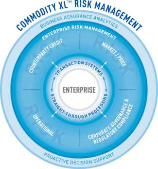 Th The Enterprise Solution 01