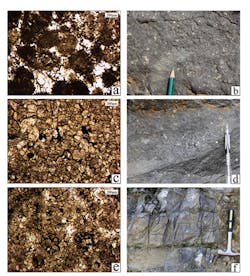 181203ogjxxu P01 181203ogjxxu P01