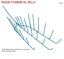 190805 Og Jddi Z02 190805 Og Jddi Z02