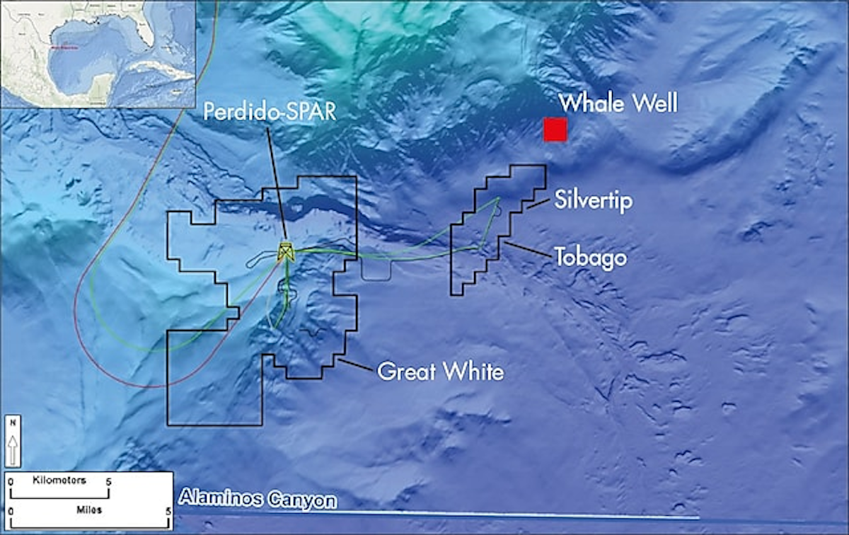 Shell lets contract for Gulf of Mexico Whale development Oil & Gas