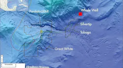 200220 Whale Map Gulf Of Mexico