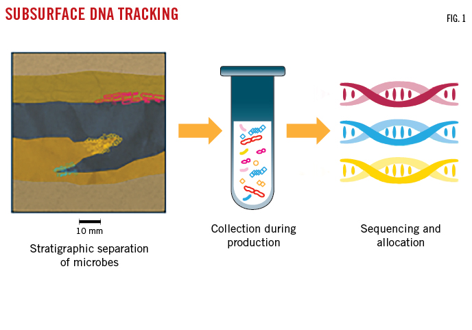 200406 Og Jdws Z01 5e8f99553814d