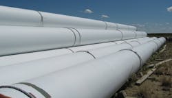 Other whitewash acrylic coatings at Shaunavon remained in excellent condition (Fig. 3). Other whitewash acrylic coatings at Shaunavon remained in excellent condition (Fig. 3).