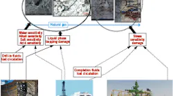 Formation structural illustrations show how multiscale damage pathways affect gas production (Fig. 1).