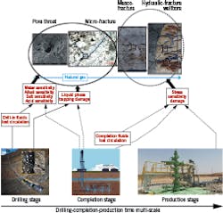 Formation structural illustrations show how multiscale damage pathways affect gas production (Fig. 1). Formation structural illustrations show how multiscale damage pathways affect gas production (Fig. 1).