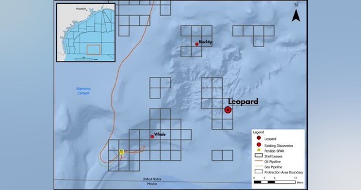 Shell to define development options for US Gulf of Mexico discovery ...