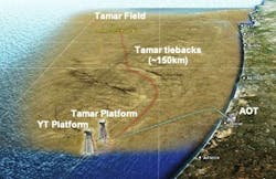 210902 Tamar Field Map 210902 Tamar Field Map