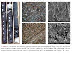 210906 Ogj038 P01 F3 210906 Ogj038 P01 F3