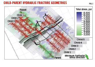 211101 Og Jdap Z01 6185816263379