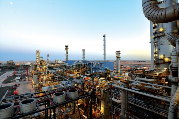 Abu Dhabi Polymers Co. Ltd. Ruwais complex.