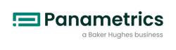 1650567987 Panametrics Lg Tl Hrz Rgb Pos 6267077e438b4