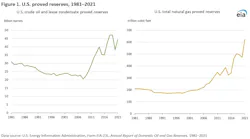 US proved reserves, 1981-2021.