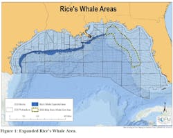 Rice's Whale Areas, Gulf of Mexico. Rice's Whale Areas, Gulf of Mexico.