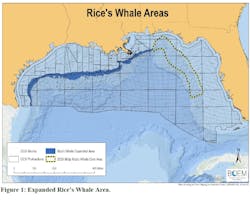 Rice&apos;s Whale Areas, Gulf of Mexico.