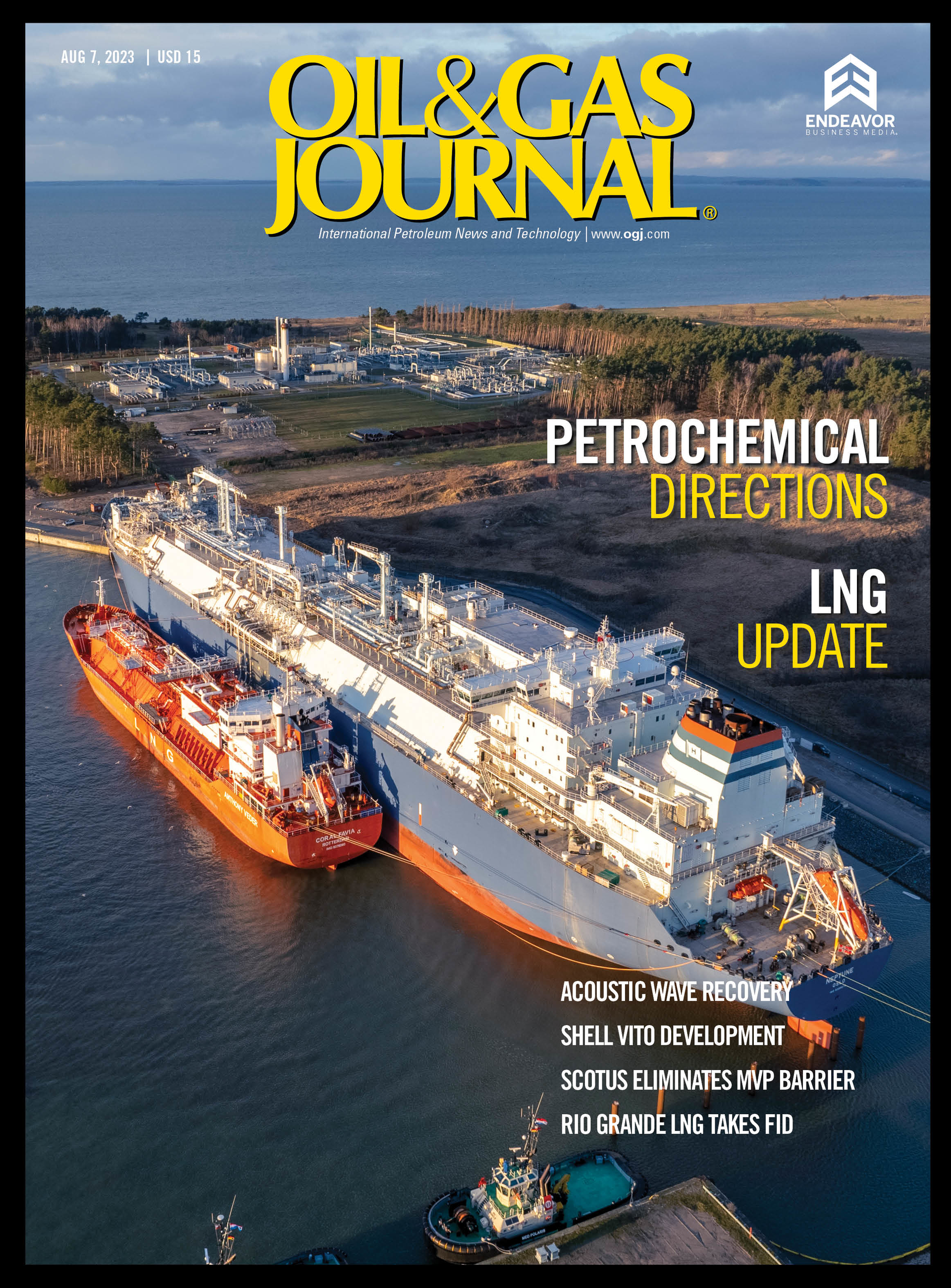 Volume 121, Issue 8 cover image