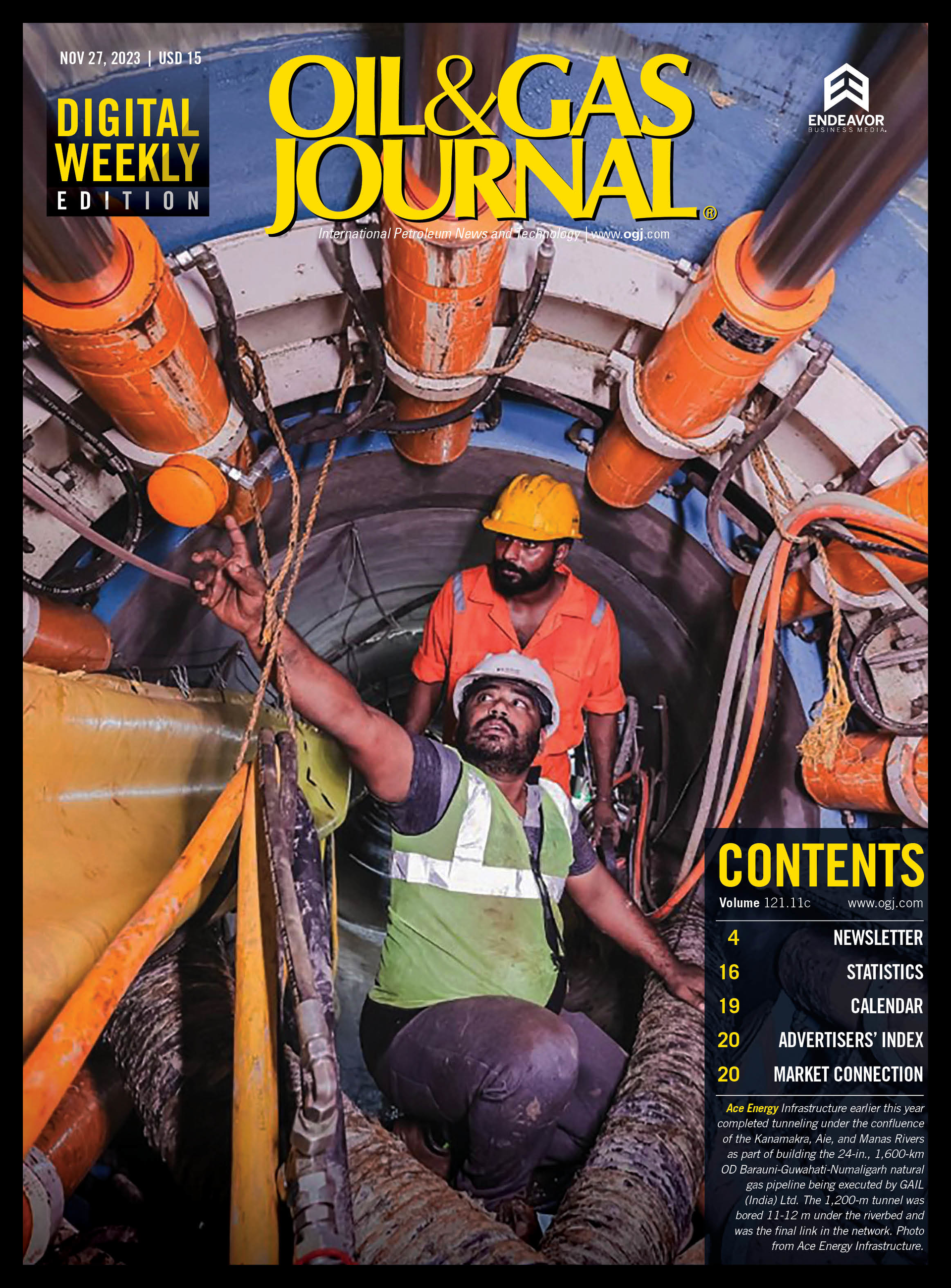 Volume 121, Issue 11c cover image