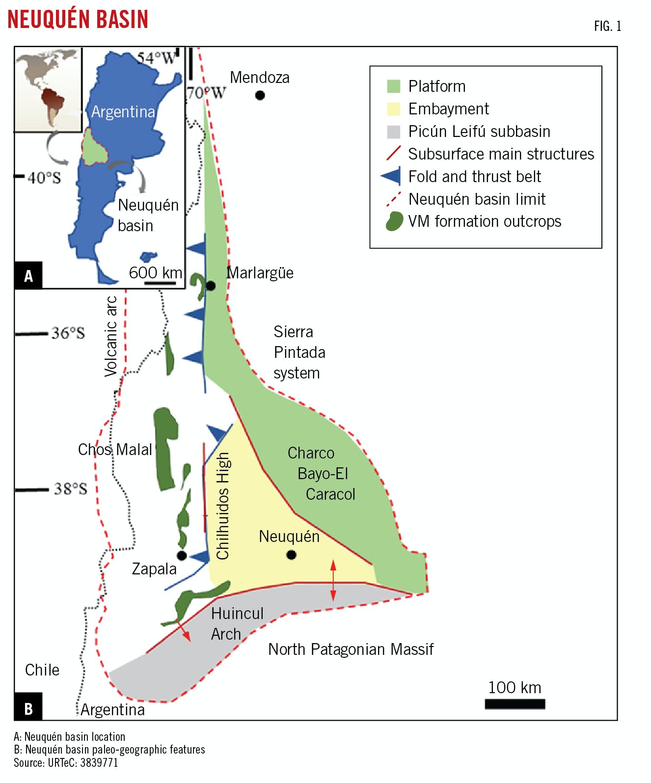 Neuquen Basin (Fig. 1).