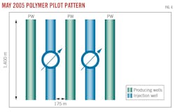 May 2005 Polymer Pilot Pattern (Fig. 6).