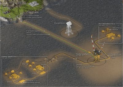 655ba2bb6c72ab001e89781d Neptun Deep Corinth