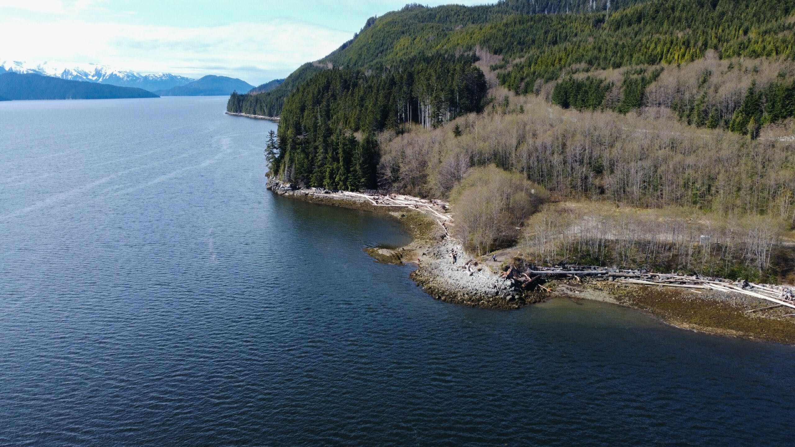 Aerial view of proposed Cedar LNG Project site.