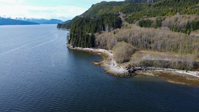 Aerial view of proposed Cedar LNG Project site.