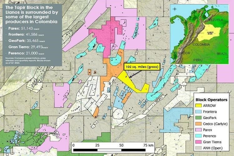 Tapir block, Colombia.