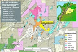 Tapir block, Colombia. Tapir block, Colombia.