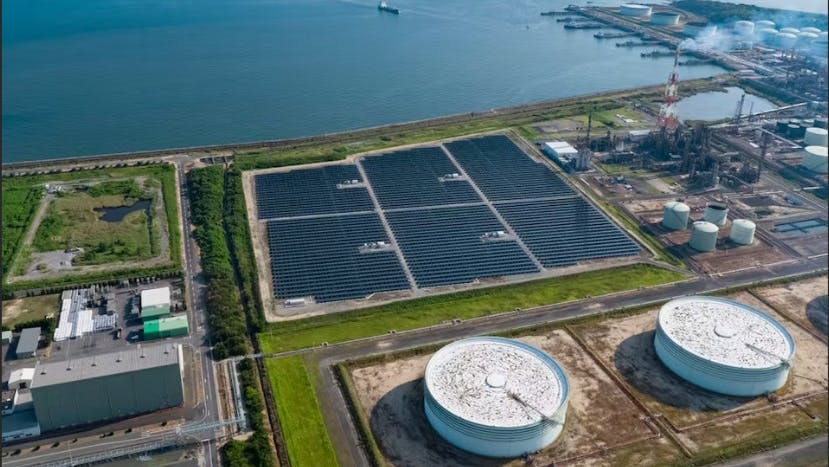 65c500ea48c00f001f6c6f3f Screenshot 822024 112629 Www