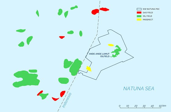 Ande-Ande Lumut (AAL) oil field in the West Natuna Sea, 20 km from the Malaysian border and about 260 km from shore.