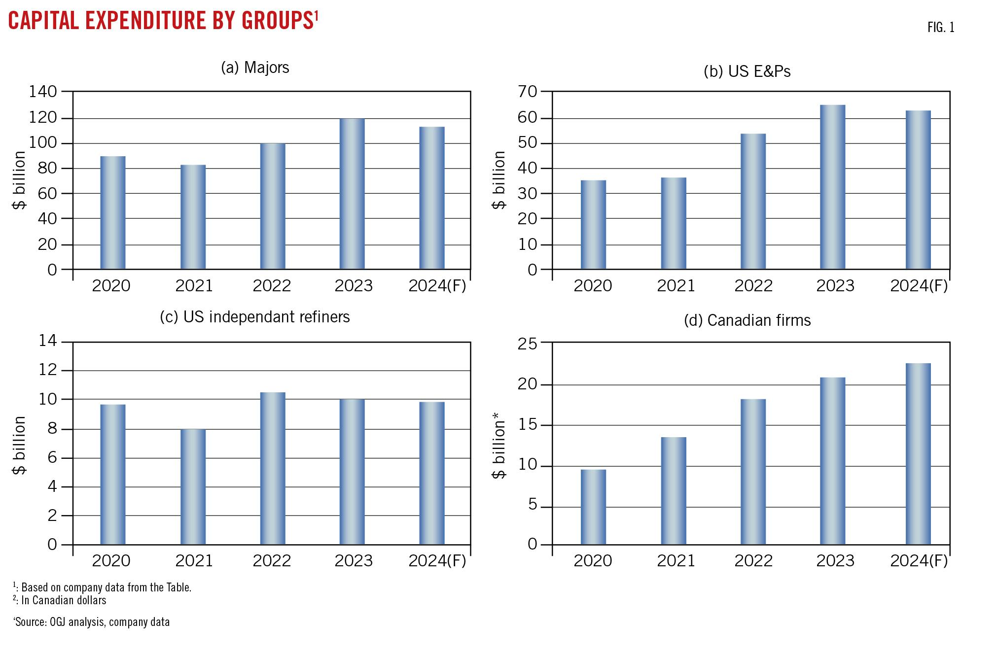 Capital expenditure by groups.