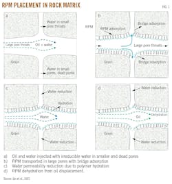 RPM Placement in Rock Matrix (Fig. 1) RPM Placement in Rock Matrix (Fig. 1)