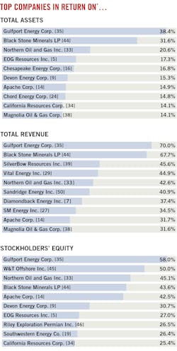 Top Companies in Return On... Top Companies in Return On...